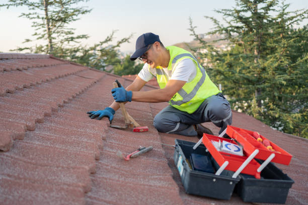 Professional Roofing Contractor in Hinesville, GA