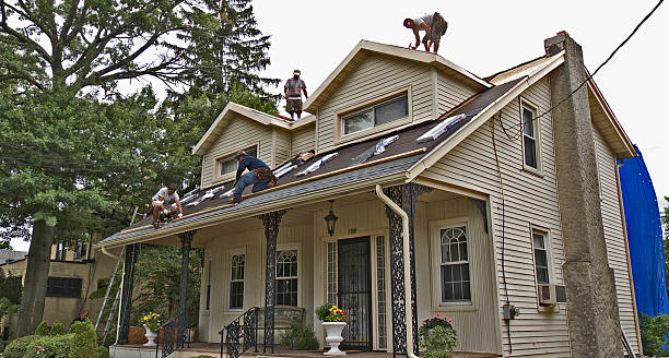 Best Roof Gutter Cleaning  in Hinesville, GA