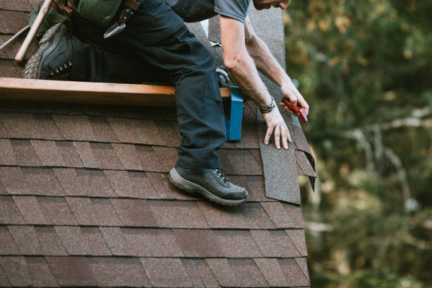 Best Gutter Installation and Roofing  in Hinesville, GA